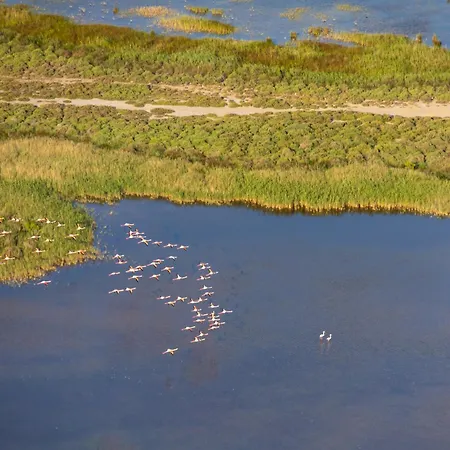 Climatise Avec Jardin Et Vue Sur Le Pic Saint Loup *